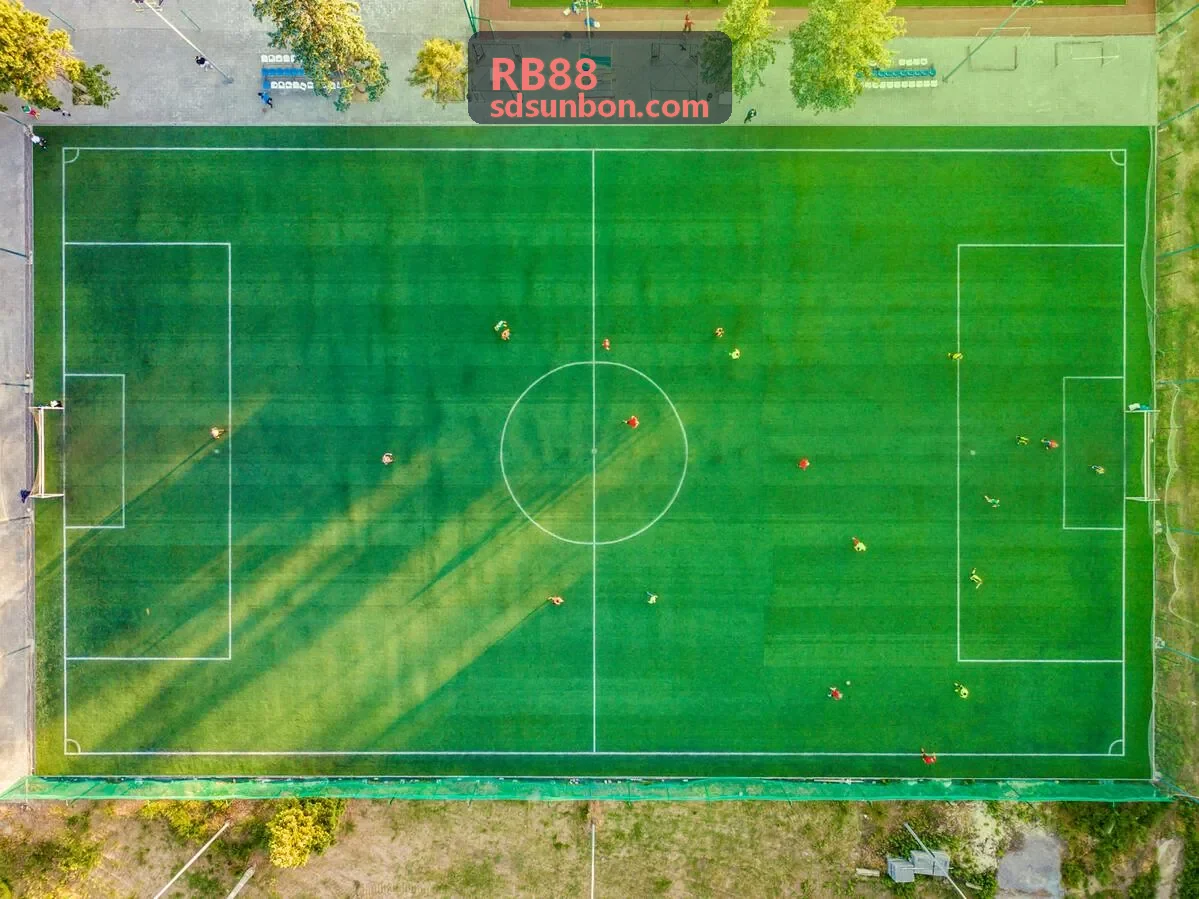 RB88 金融案例