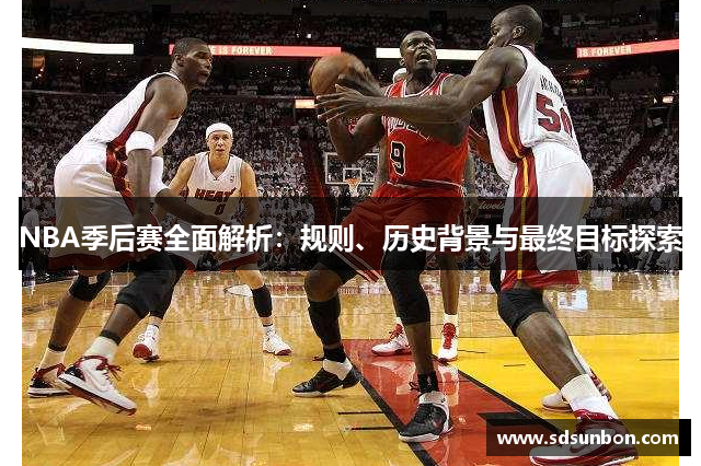 NBA季后赛全面解析：规则、历史背景与最终目标探索