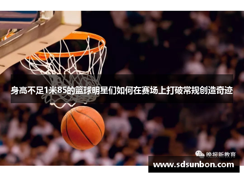身高不足1米85的篮球明星们如何在赛场上打破常规创造奇迹