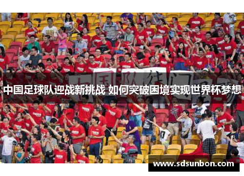 中国足球队迎战新挑战 如何突破困境实现世界杯梦想