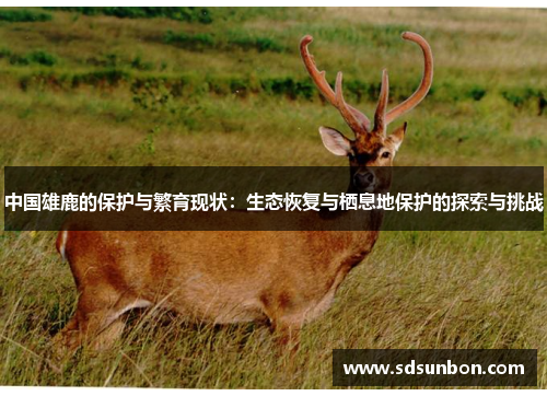 中国雄鹿的保护与繁育现状：生态恢复与栖息地保护的探索与挑战